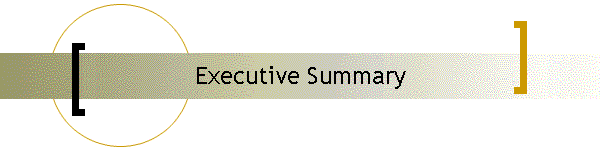 Executive Summary